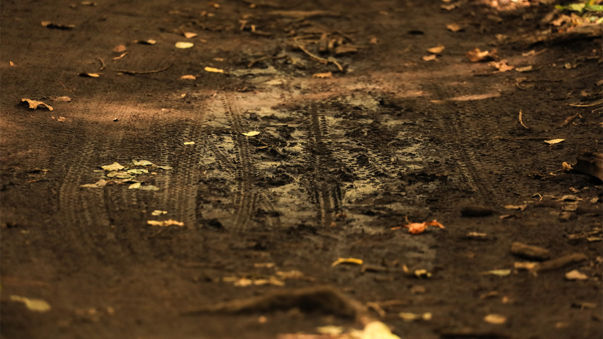 bicycle tracks in mud